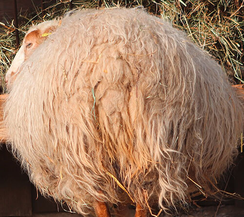 Smėliniai atspalviai!