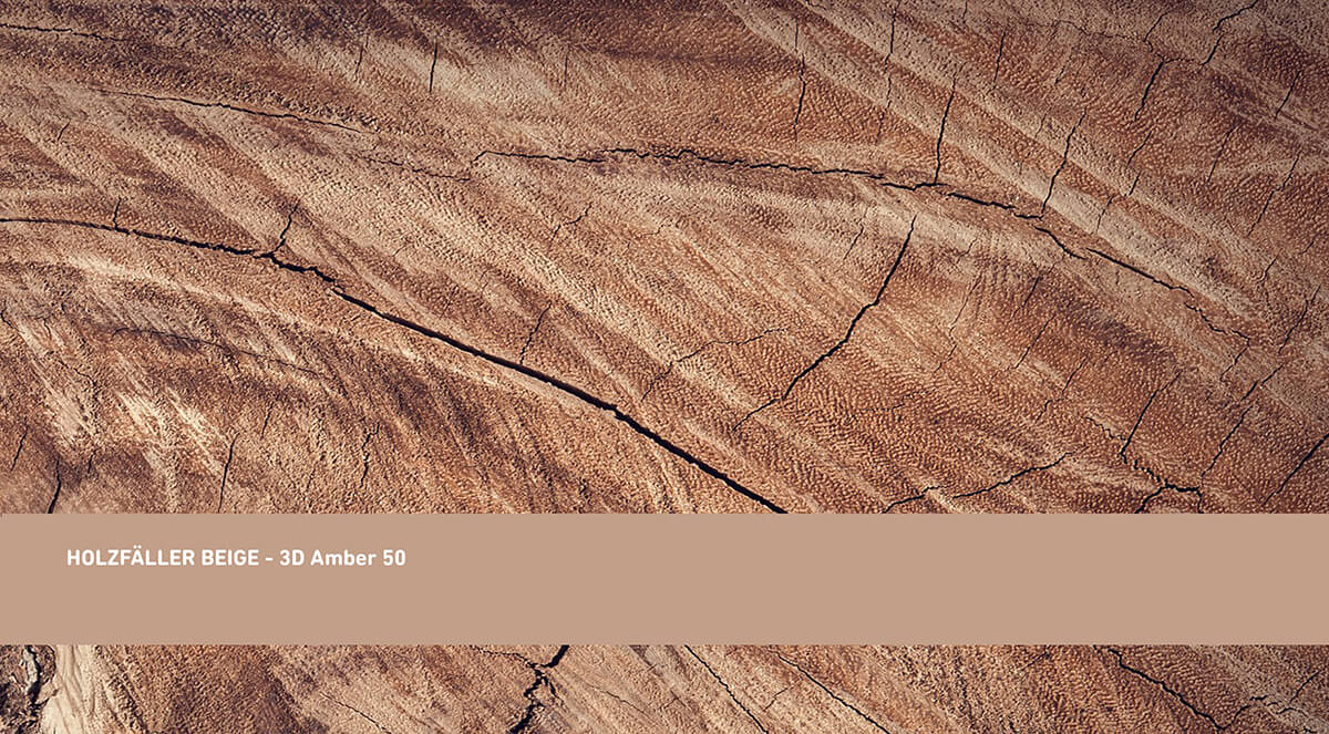 Nukirstos medienos atspalvis - 3D Amber 50