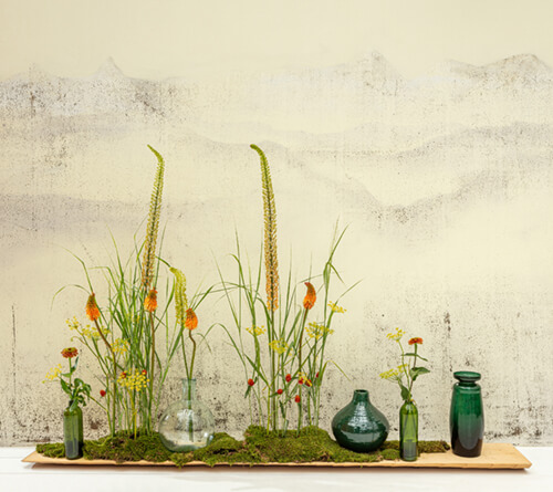 Spalvų tendencijos 2024 -