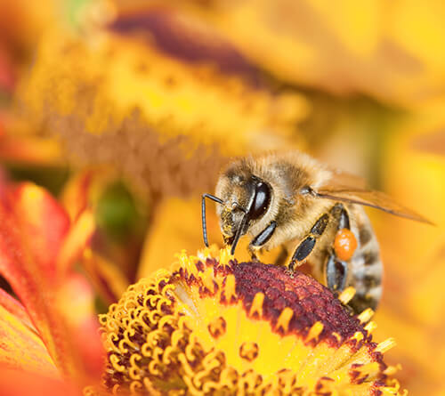 Spalvų tendencijos 2024 -