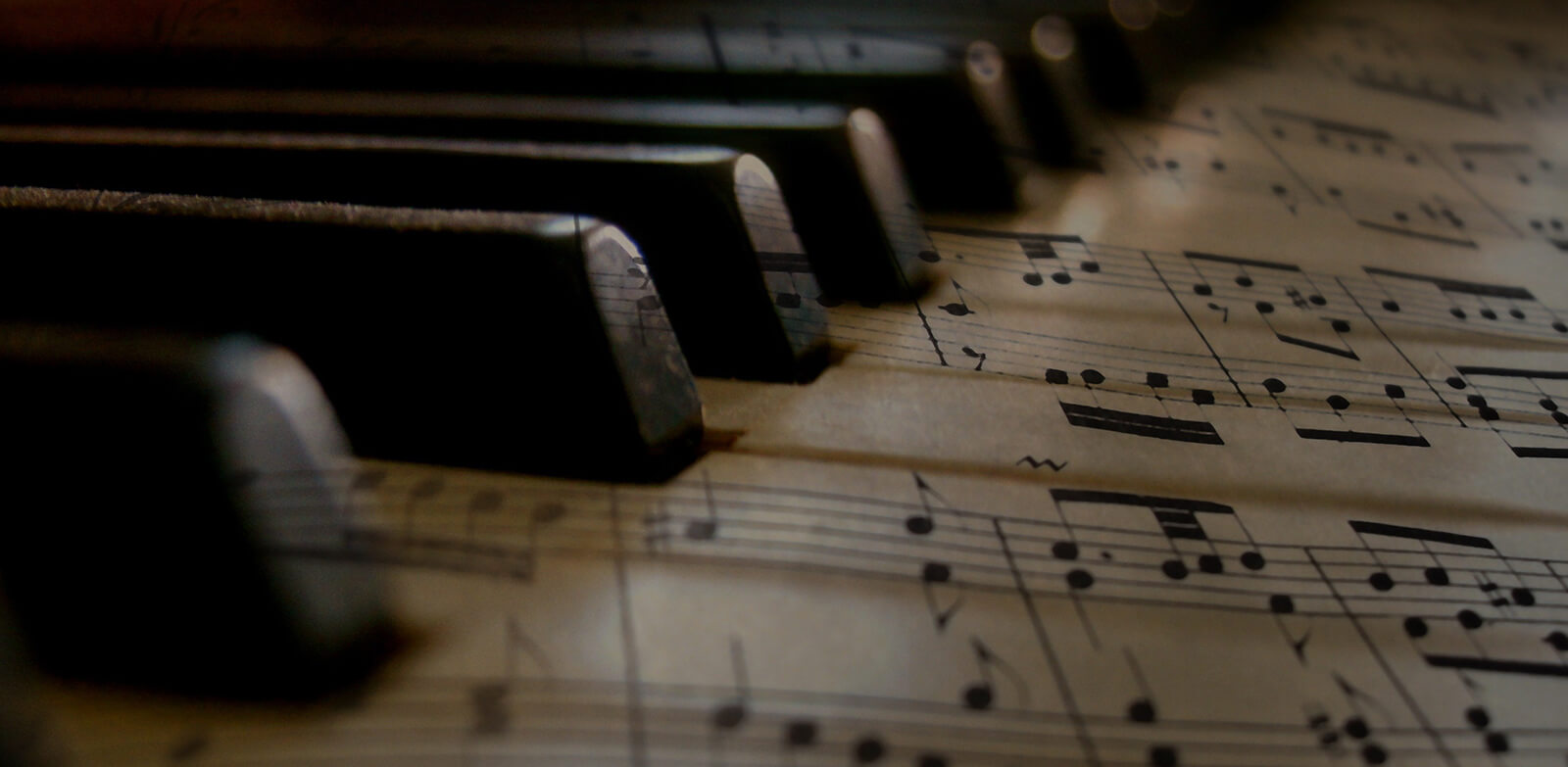 Muzikos gamą sudaro septynios natos.