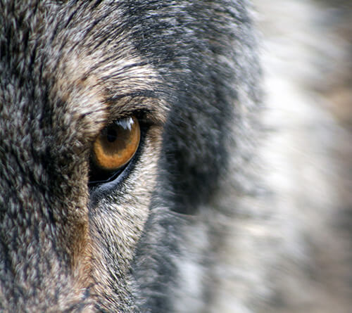 Apie žmones, pasakas ir mistiką